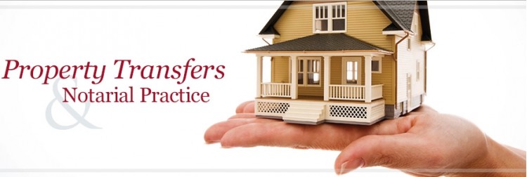 Niehaus McMahon Attorneys - Specials