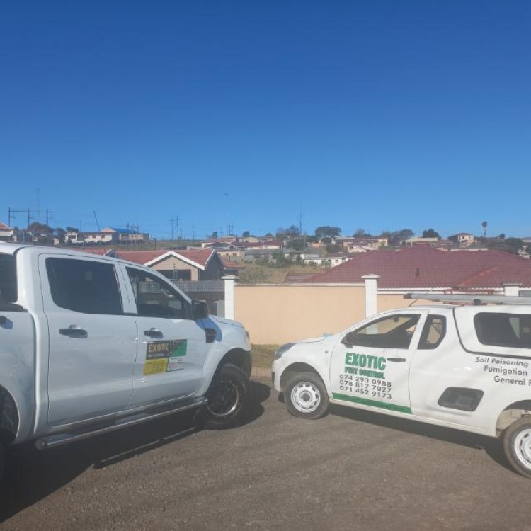 Exotic Pest Control - Specials