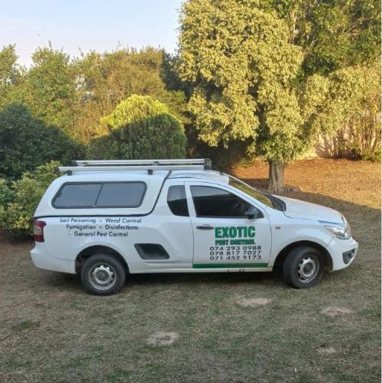 Exotic Pest Control - Specials