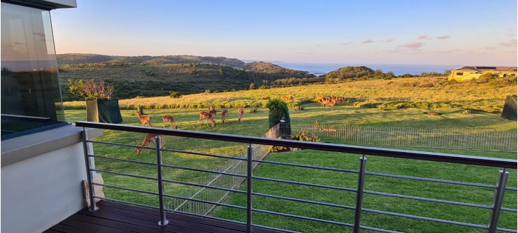 Jikeleza Properties Powered by eXp - Specials