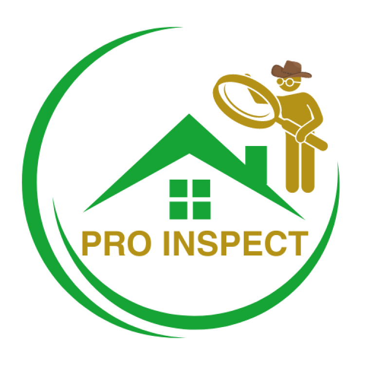 Pro Inspect Home Inspections (Pty) Ltd - Specials